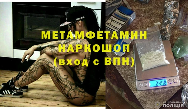 шишки Инта