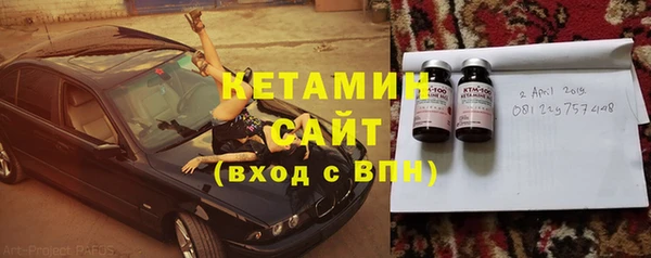 шишки Инта
