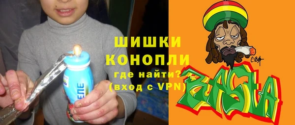 спайс Инсар