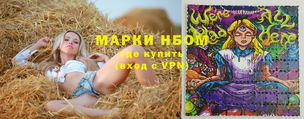 шишки Инта