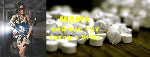 шишки Инта