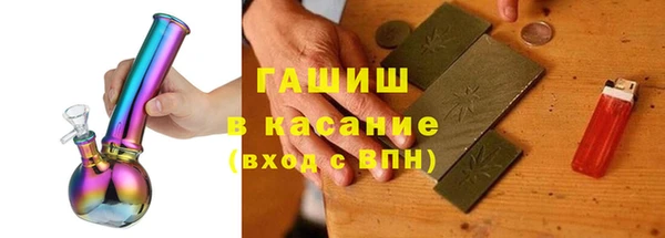 шишки Инта