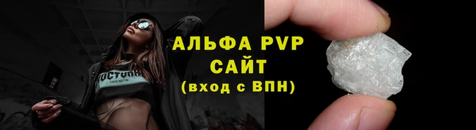 шишки Инта