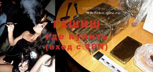 шишки Инта