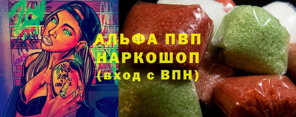 шишки Инта