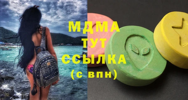 шишки Инта