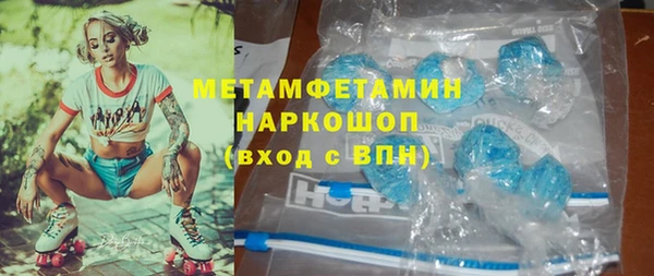 шишки Инта