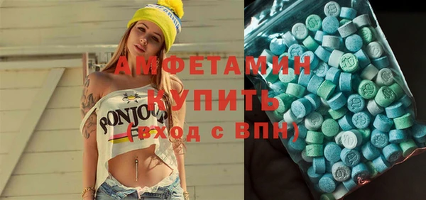шишки Инта