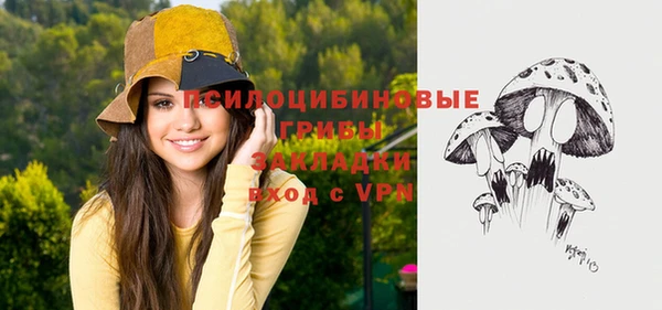 спайс Инсар