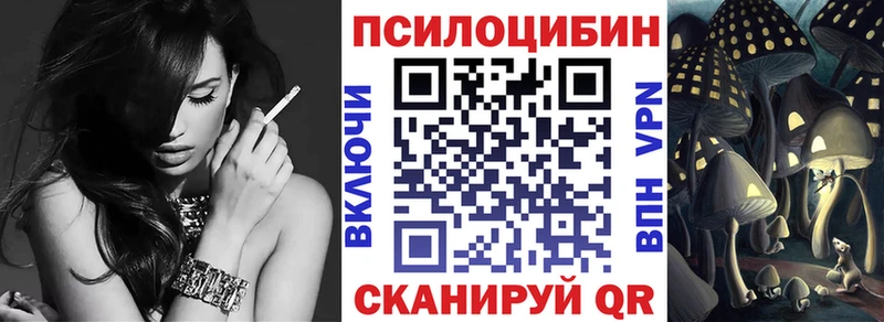 Галлюциногенные грибы Psilocybe Новопавловск